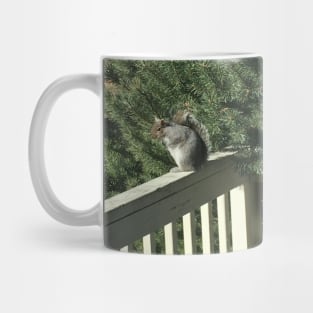 Squirrel Mug